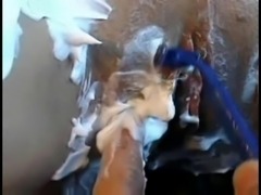 Shaving Pussy