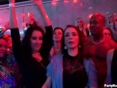 Adorable girls give in to hardcore sex in the club after giving steamy blowjobs