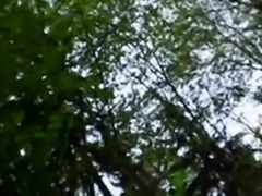 2 girls sucking cock in a forest